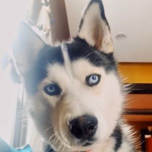 Meet your Posher, Eli